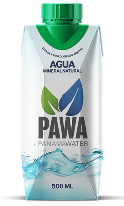 presentacion-pawa-1